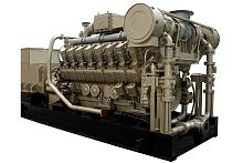 Газовый генератор Арктика SJ1650NFK/S в Красноярске Газовый генератор Арктика SJ1650NFK/S в Красноярске